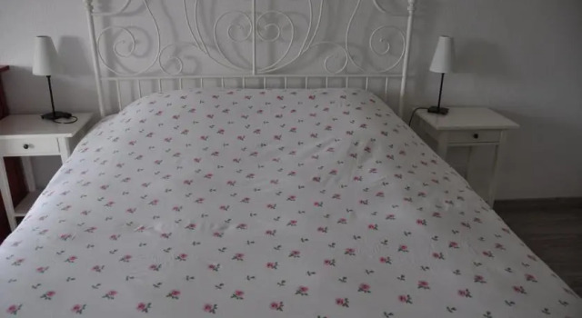 Lavandin Montpellier