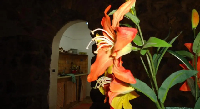 Номер Superior Agriturismo Zibibbodoro