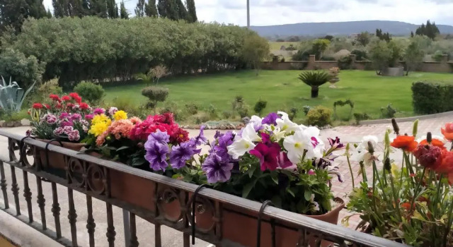 Апартаменты Il Giardino delle Rose A