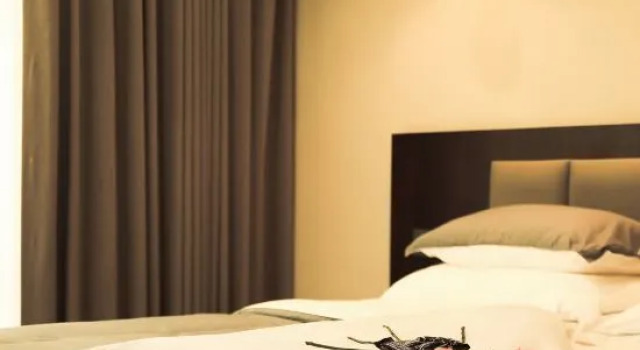 Люкс Luxury 3·SENSE  Resort Xishuangbanna