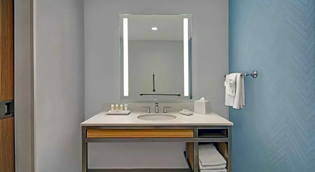 Двухместный Corner Suite Mobility Accessible with Roll-In Shower Hilton Garden Inn Houston Medical Center, TX