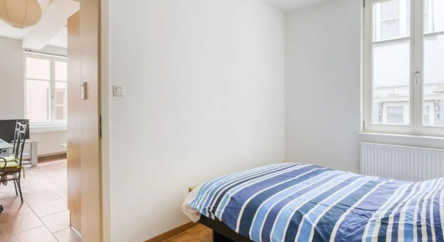 Sober Holiday Home in Selestat Near Humanist Library