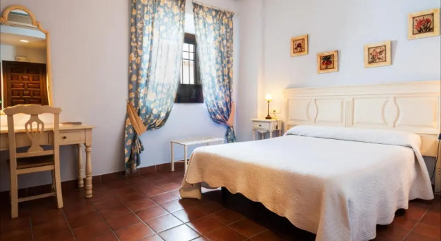 Двухместный номер Standard Palacio las Manillas
