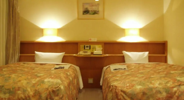 Двухместный номер Standard Hotel New Green Kashiwazaki