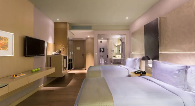 Двухместный люкс Holiday Inn New Delhi Aerocity by IHG
