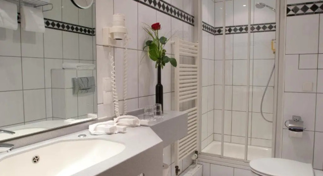 Одноместный номер Standard Hotel Plaza
