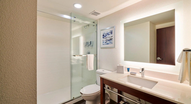 Двухместный номер Standard Four Points by Sheraton Cleveland-Eastlake