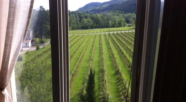 Номер Standard Corte San Ruffillo-Azienda Agrituristica