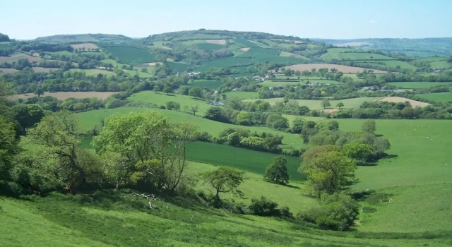 West Perry Hay, Bridport, Забронировать Отель Бридпорт Jurassic Coast