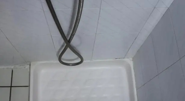 Номер Standard Hotel Coral