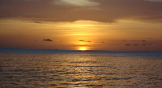 Cottage Kaye Mango