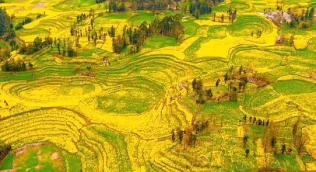 Jinjiling Huaxin Homestay, Book Hotel Qujing Yunnan