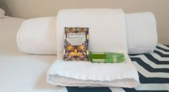 Трёхместный номер Standard Eco Hotel