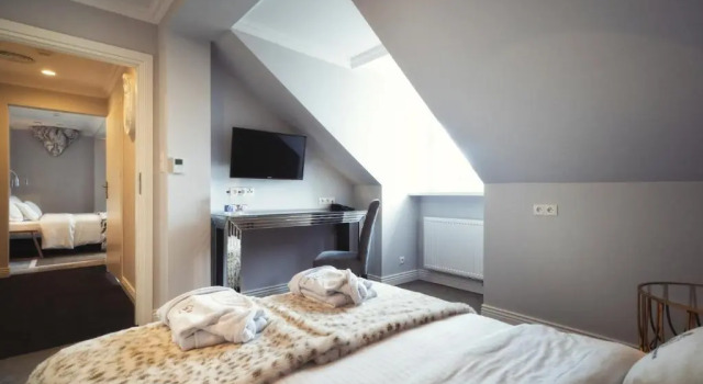 Студия Hotel Pałac Alexandrinum