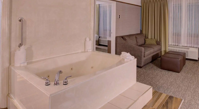 Двухместный люкс Hilton Garden Inn Detroit Southfield