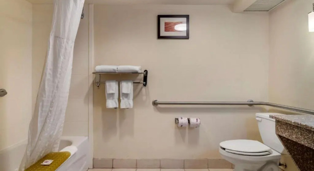 Номер Standard Comfort Inn & Suites Athens North