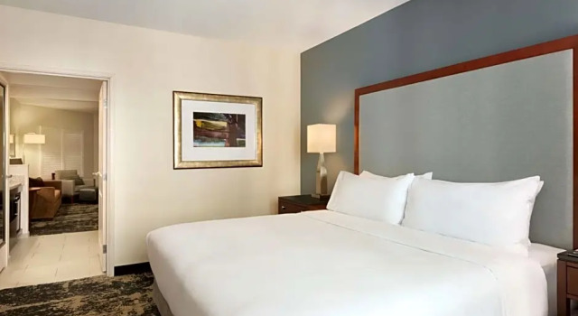 Двухместный люкс с 2 комнатами с видом на горы Embassy Suites by Hilton Denver Downtown Convention Center