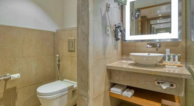 Номер Standard Novotel Bengaluru Outer Ring Road