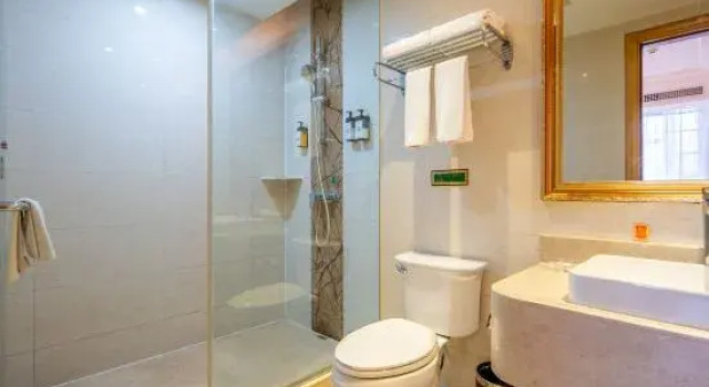 Люкс Vienna Hotel (Wuhan Tianhe Airport Penglongcheng Ju Long Avenue Branch)