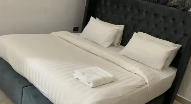 Номер Deluxe ELLEX SLEEVES APARTMENTs