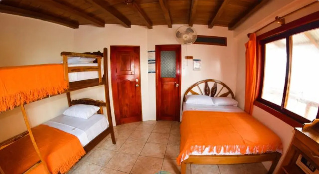 Четырёхместный номер Standard Hostal Pakaloro