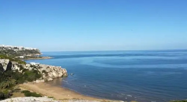 Residence Olimpia, Buchen Sie Hotel Peschici Foresta Umbra