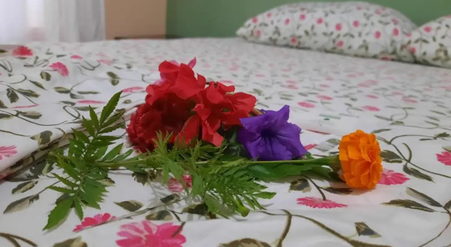 Двухместный номер Standard Hotel Casa Gitana Corcovado Tour operador