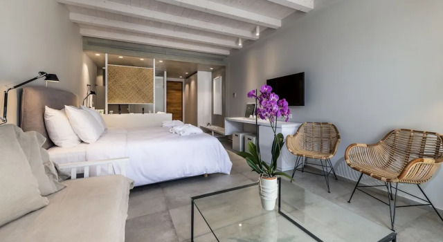 Полулюкс Цокольный этаж Caravia Beach Hotel