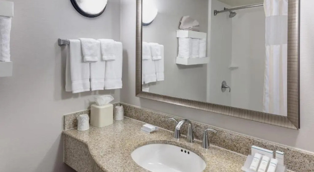 Номер Standard Hilton Garden Inn McAllen Airport