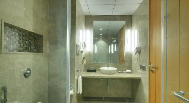 Executive Sviitti Lemon Tree Premier Dwarka