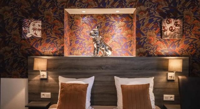 Номер Superior Hôtel de la T.A