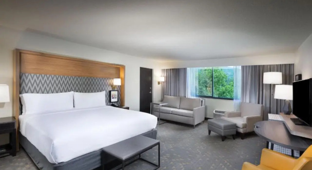 Номер Standard с видом на горы Holiday Inn Asheville East-Blue Ridge Pkwy by IHG