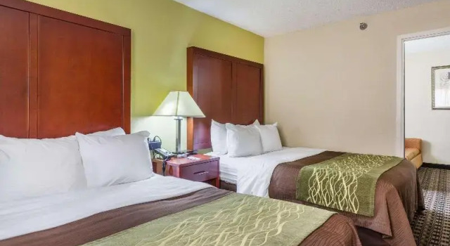 Suite Comfort Inn Decatur Priceville