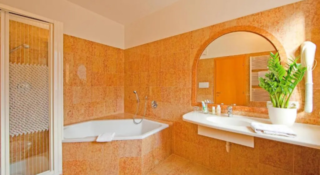 Номер Deluxe Hotel Elefant