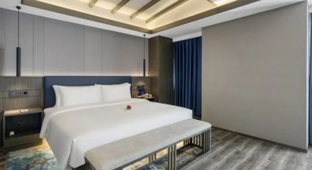 Люкс Premier MEHOOD LESTIE Hotel (Zhanjiang Jinshawan flagship store)