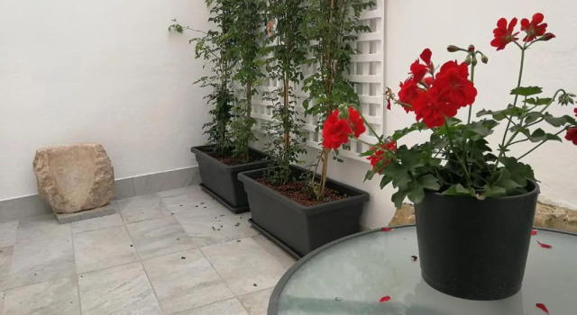 Студия Цокольный этаж Patio de la Escalera, Santiago
