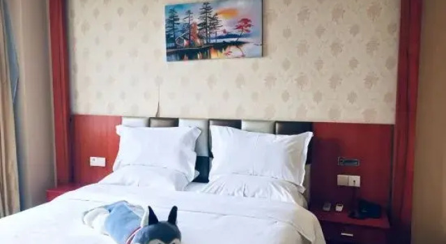 Люкс Premier Ruiyi Hotel (Nanning Anji Bus Station)