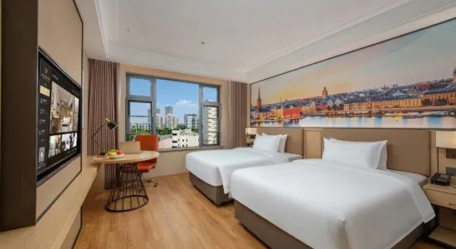 Люкс Standard Vienna International Hotel (Wuhan Linzhang Avenue Subway Station)