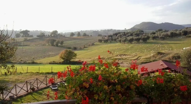 Номер Standard Agriturismo e Caseificio La Valle degli Ulivi