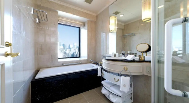 Двухместный номер Deluxe Dai-ichi Hotel Tokyo