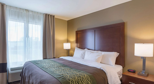 Comfort Inn & Suites Zachary, Boek Hotel Hotels in Missouri met zwembad, Zwembad