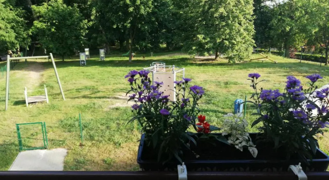 Апартаменты Apartament pod Morwą
