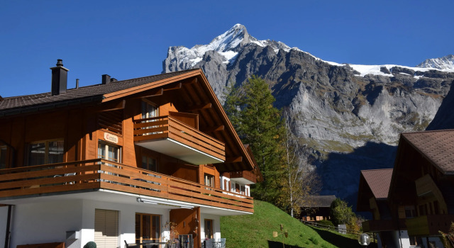 Апартаменты Superior Serviced Apartments   Kirchbühl@home