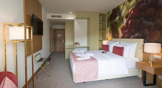 Номер Superior Douro Castelo Signature Hotel & Spa