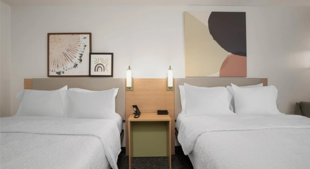 Standaard Vierpersoonskamer Hampton Inn Decatur
