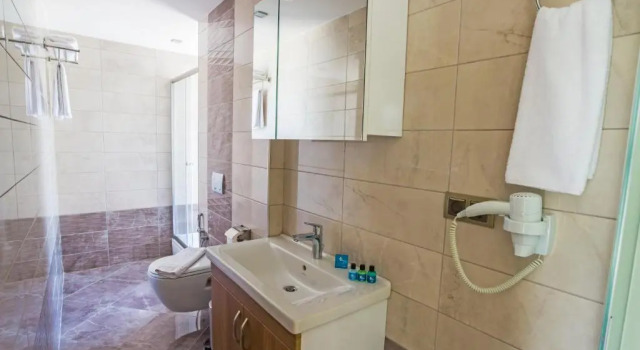 Трёхместный номер Standard с видом на море Alesha Suite Otel