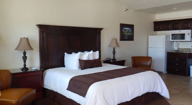Люкс Business Winterton Suites
