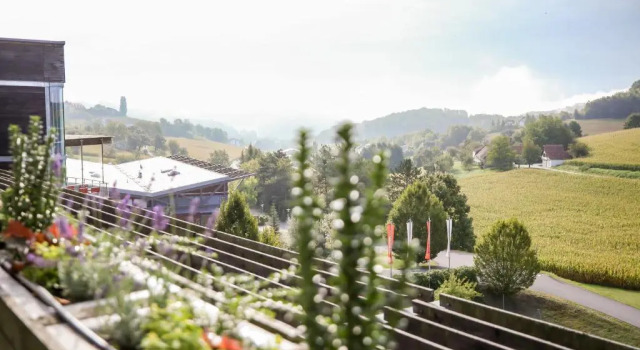 Номер Premium Das Sonnreich - Thermenhotel Loipersdorf