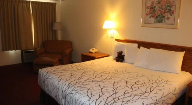 Двухместный номер Standard с балконом Roosevelt Inn Mount Rushmore