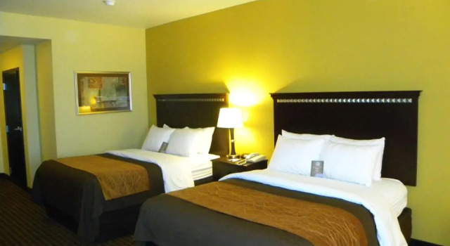 Четырёхместный номер Standard Comfort Inn & Suites Regional Medical Center
